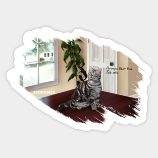 AnemalSoul - Gray American Shorthair Sticker